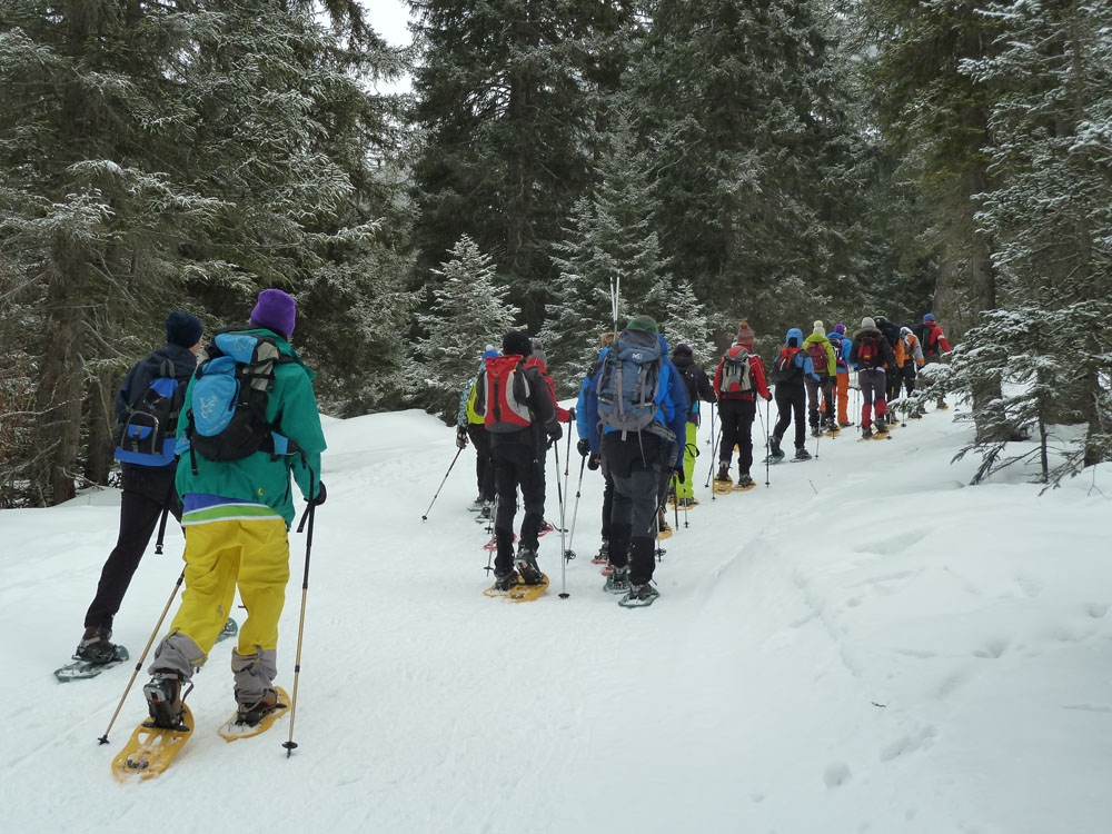 Schneeschuhwanderung