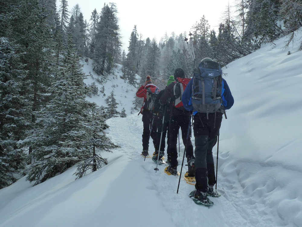 Schneeschuhwanderung
