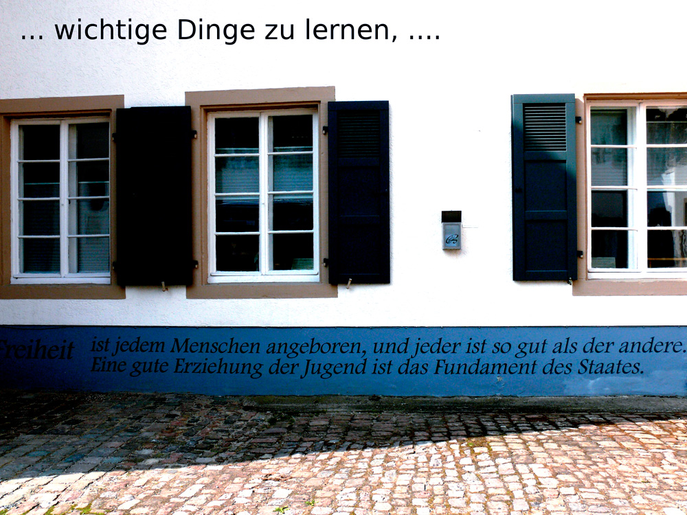 Schulbrücke Europa - Heidelberg 2011