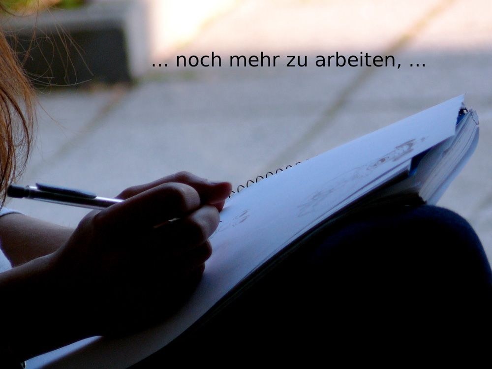 Schulbrücke Europa - Heidelberg 2011