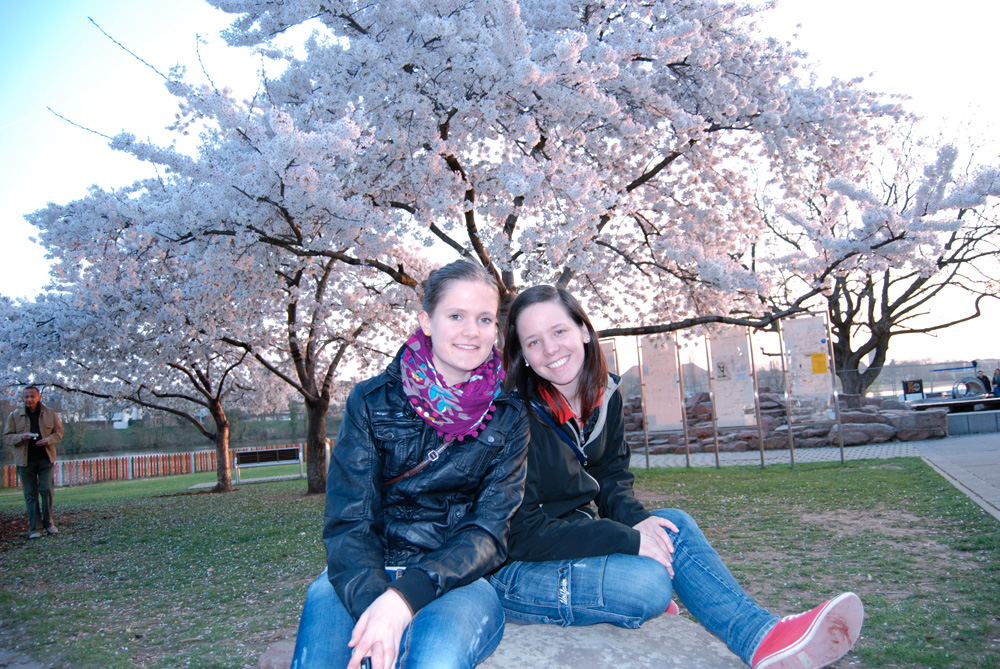Schulbrücke Europa - Heidelberg 2011